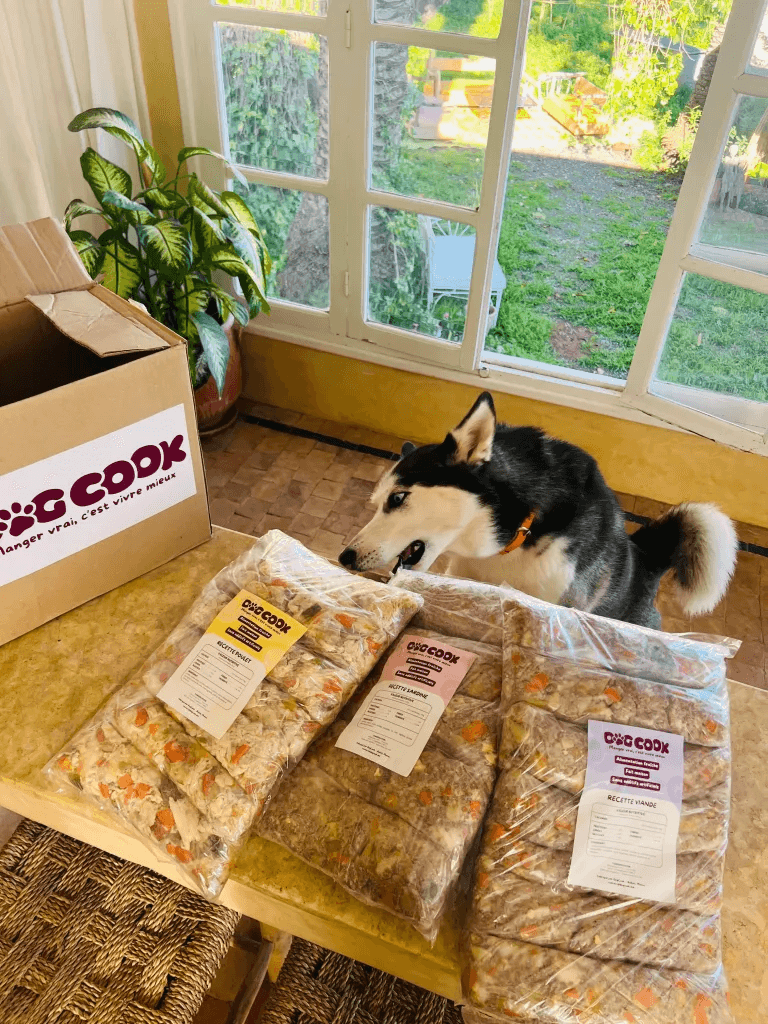 Loki avec ses repas Dogcook